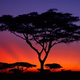 Illustration for article titled Need travel advice for East African trip